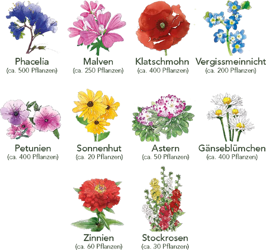  Blumen Beet 10er Set