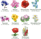  Blumen Beet 10er Set