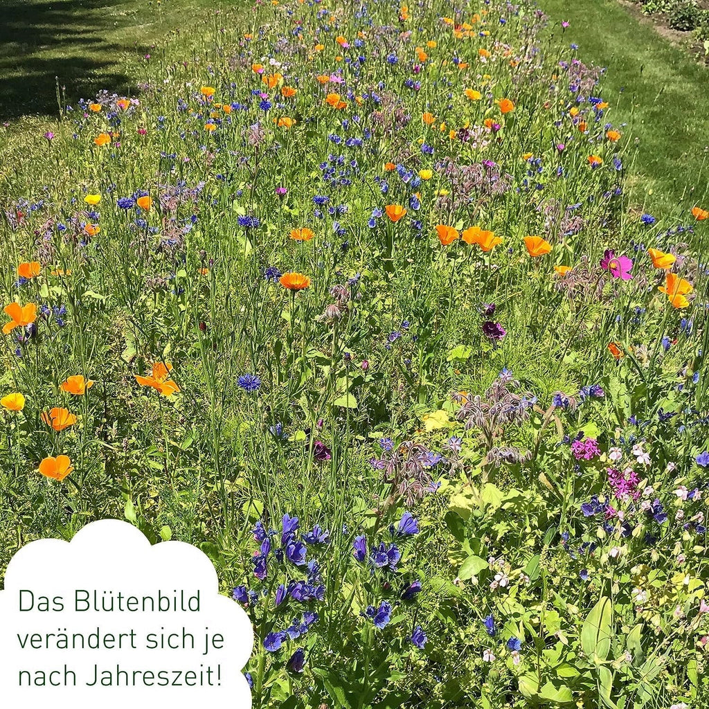  Blumenmischung "Bienenwiese"