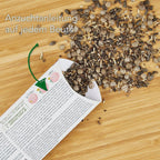  Blumenmischung "Insekteninsel"