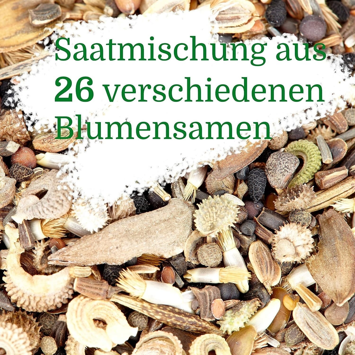  Blumenmischung "Schmetterlingstreff"