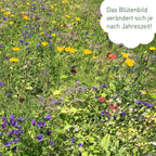  Blumenmischung "Schmetterlingstreff"