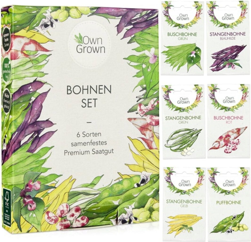  Bohnen-Samen 6er Set