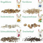  Delikatess-Blüten 6er Saatgut-Set