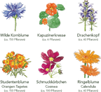  Delikatess-Blüten 6er Saatgut-Set