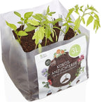  Kokoserde Quellblock 3 L