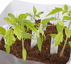  Kokoserde Quellblock 3 L