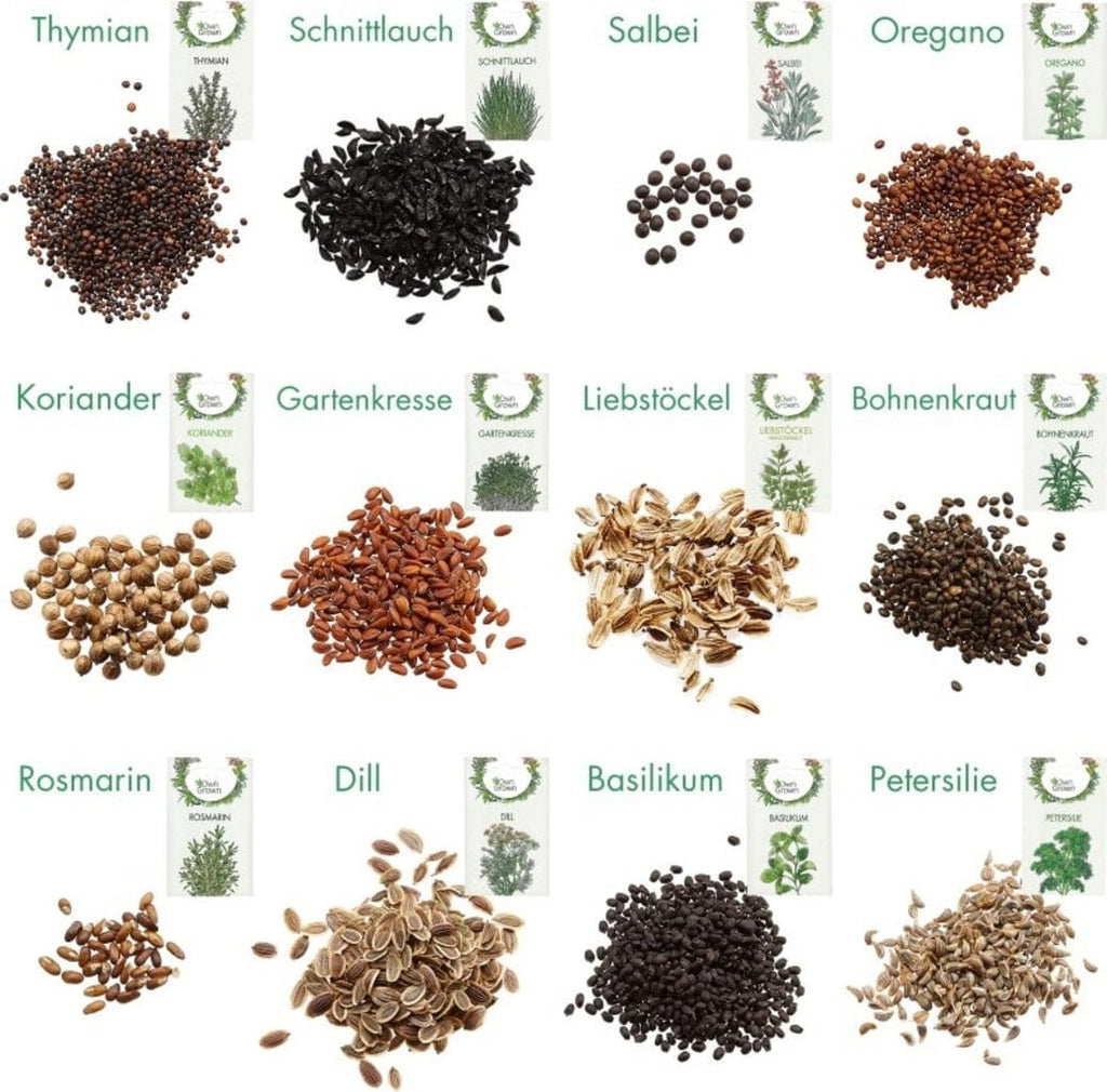  Küchen-Kräuter 12er Saatgut-Set
