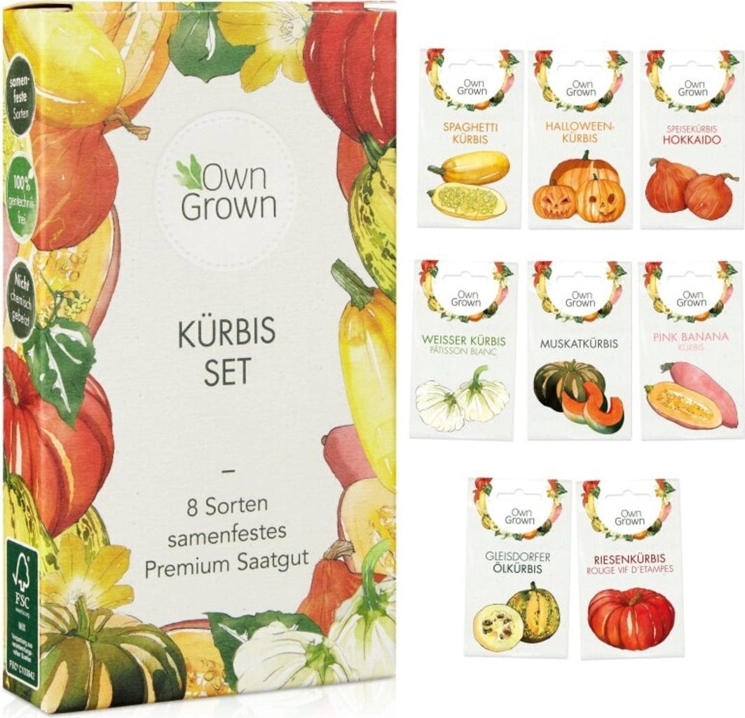  Kürbis-Samen 8er Set