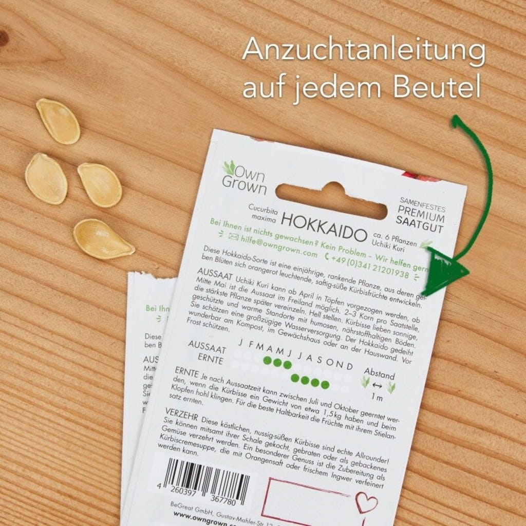  Kürbis-Samen 8er Set