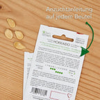  Kürbis-Samen 8er Set