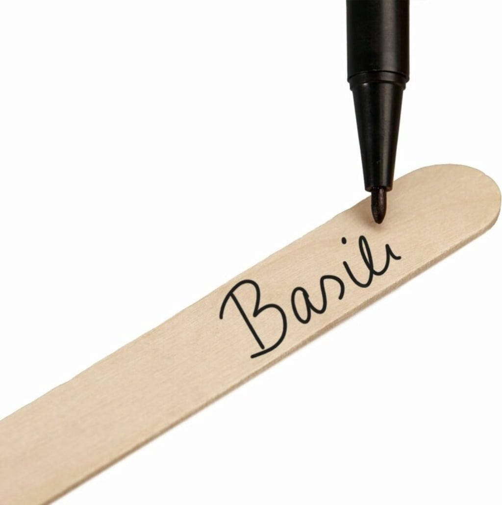  Pflanzstecker 50er Mit Stift