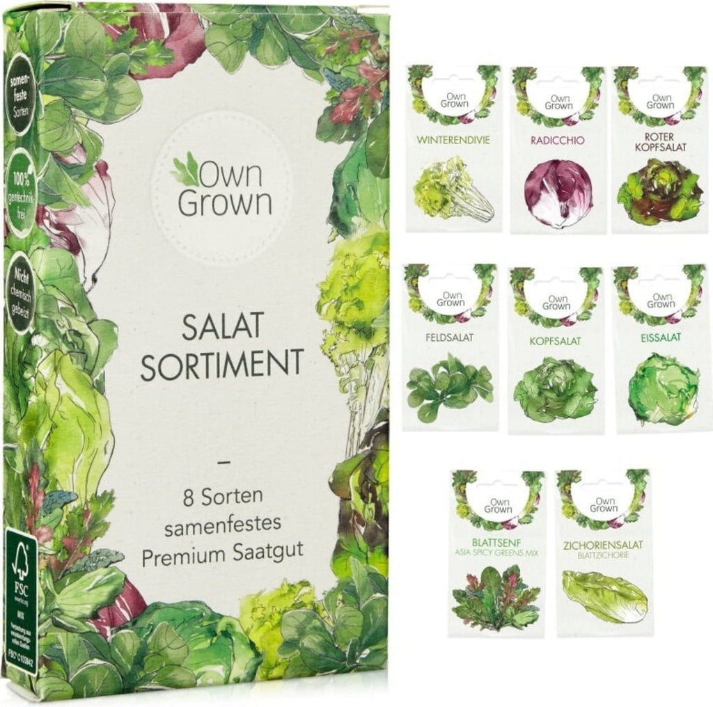  Salat-Samen-Set