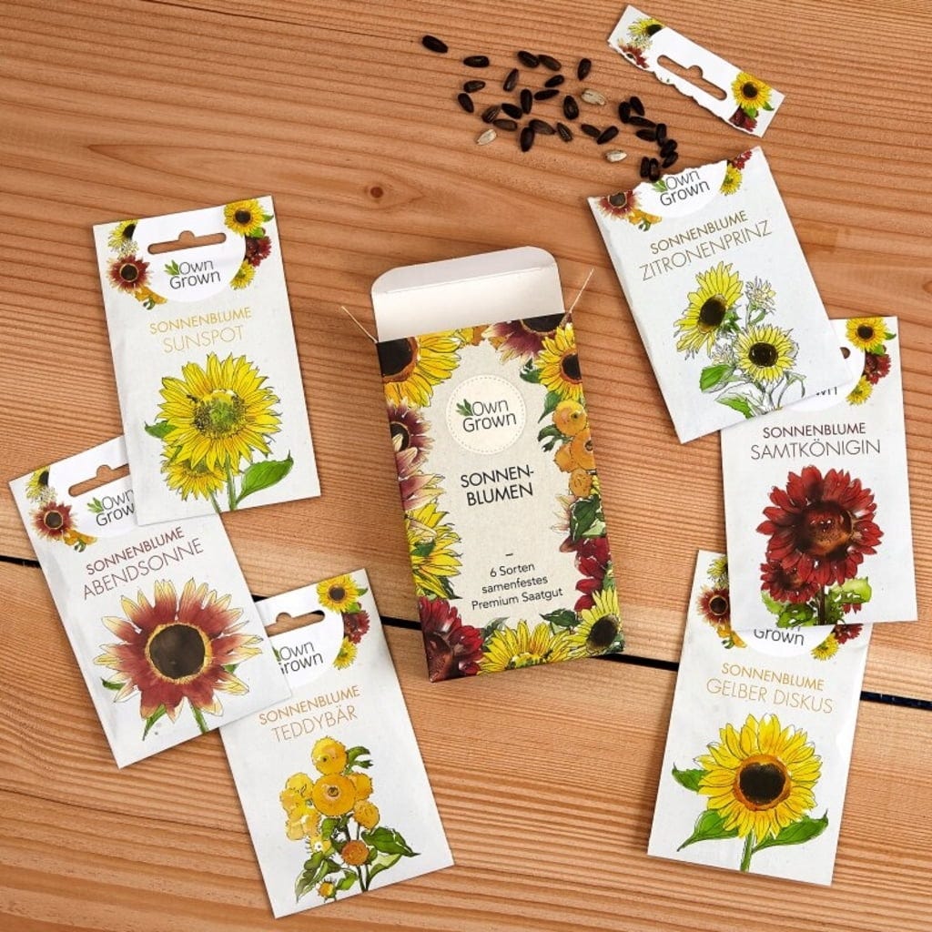  Sonnenblumen 6er Saatgut-Set