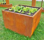  Hochbeet Edelrost "Optimus", 200 X 100 Cm