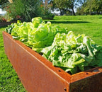  Hochbeet Edelrost "Planus", 158 X 38 Cm