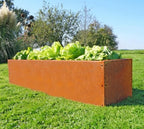  Hochbeet Edelrost "Planus", 158 X 38 Cm