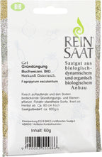  Gründüngung Buchweizen BIO
