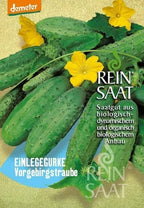  Einlegegurken "Vorgebirgstraube"