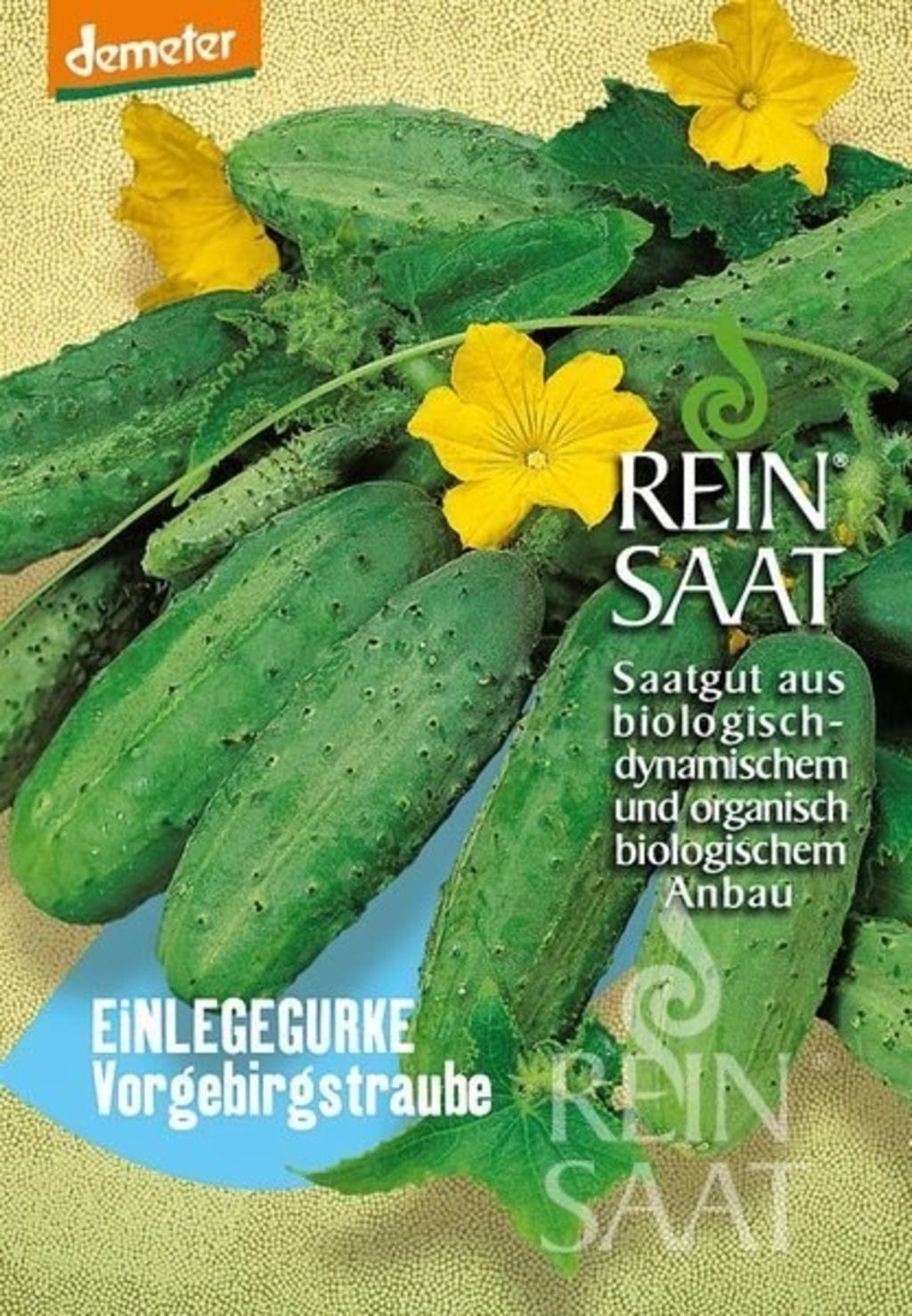  Einlegegurken "Vorgebirgstraube"