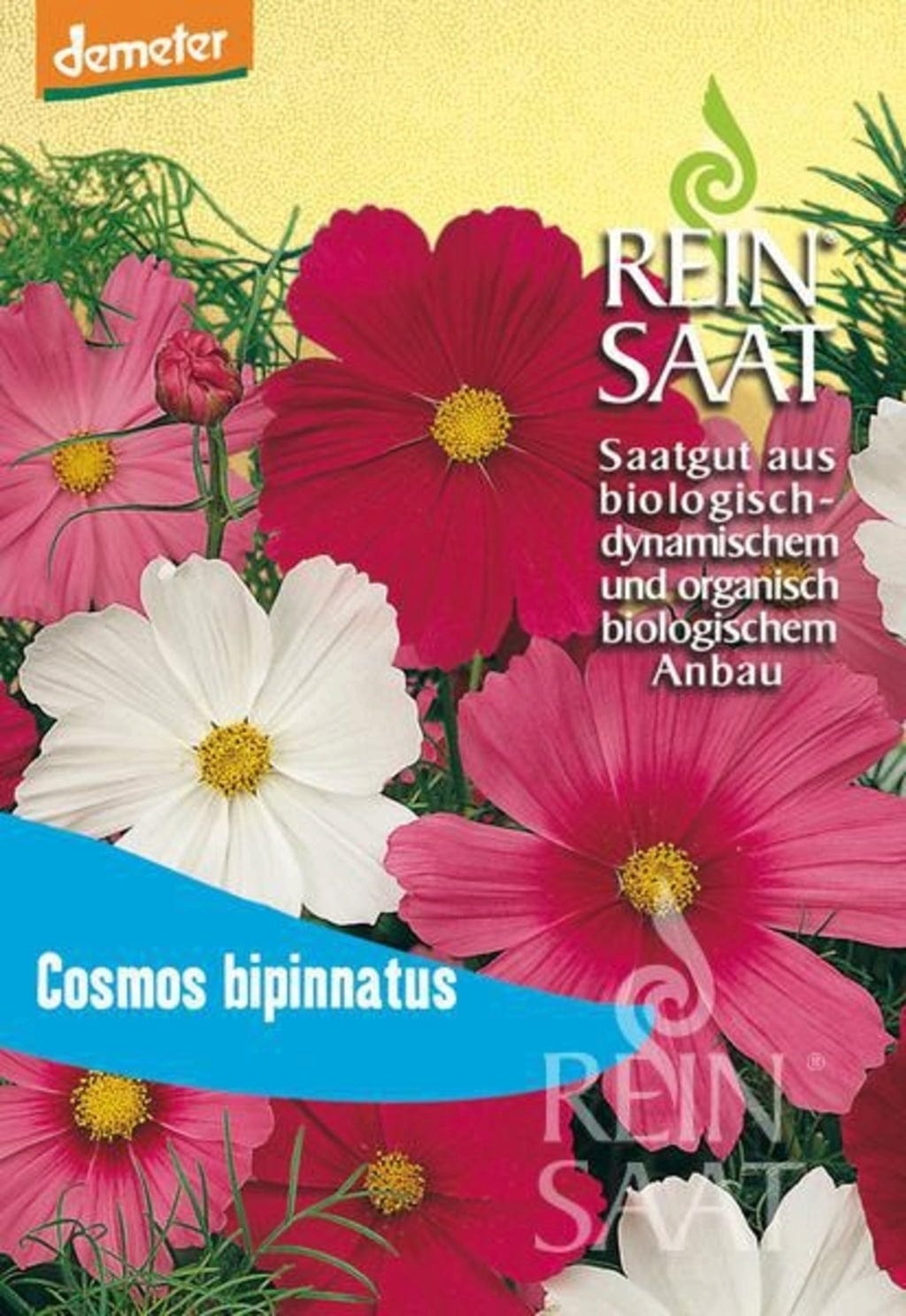  Schmuckkörbchen Mischung