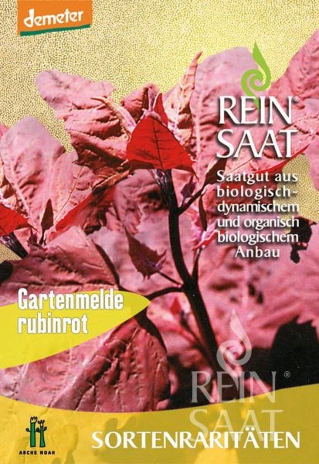  Sortenrarität "Rubinrote Gartenmelde"