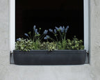  Fensterbank-Blumenkasten "Windowgreen", Graphit (anthrazit)