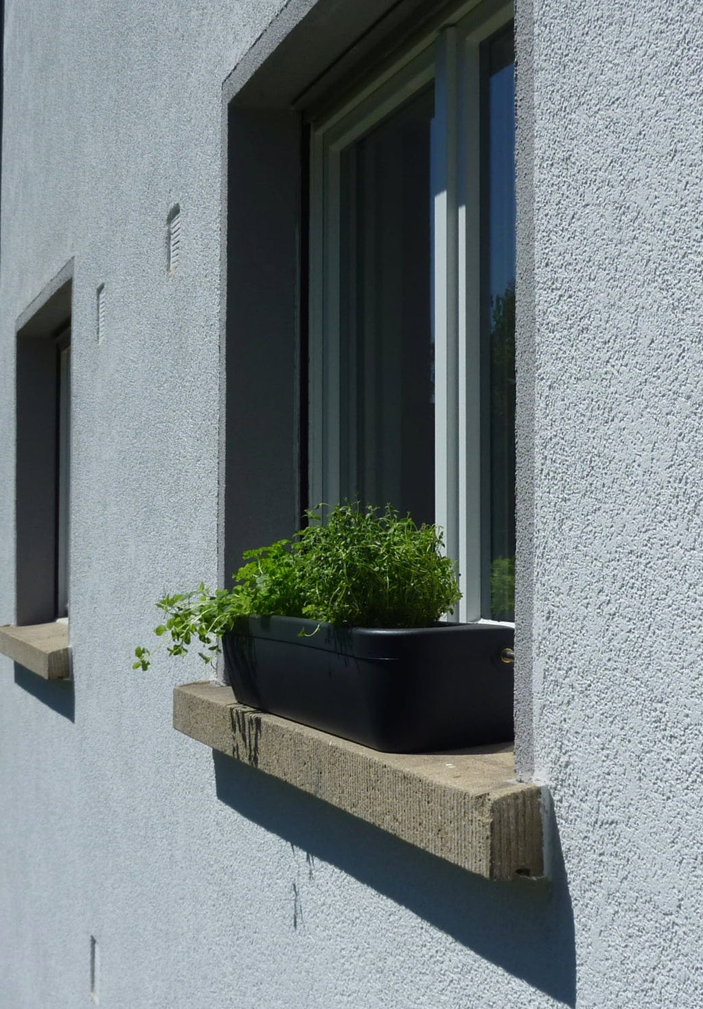  Fensterbank-Blumenkasten "Windowgreen", Graphit (anthrazit)