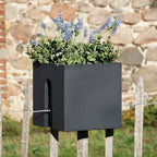  Pflanzbehälter "Steckling Cube", Graphit (anthrazit)