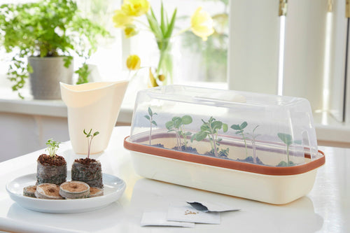  Anzuchtschale S BOQUBE Creme-Kupferbraun