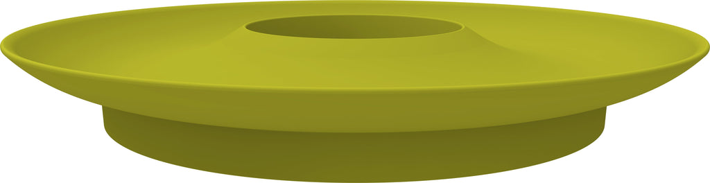  Avocado Kit Für Die Anzucht