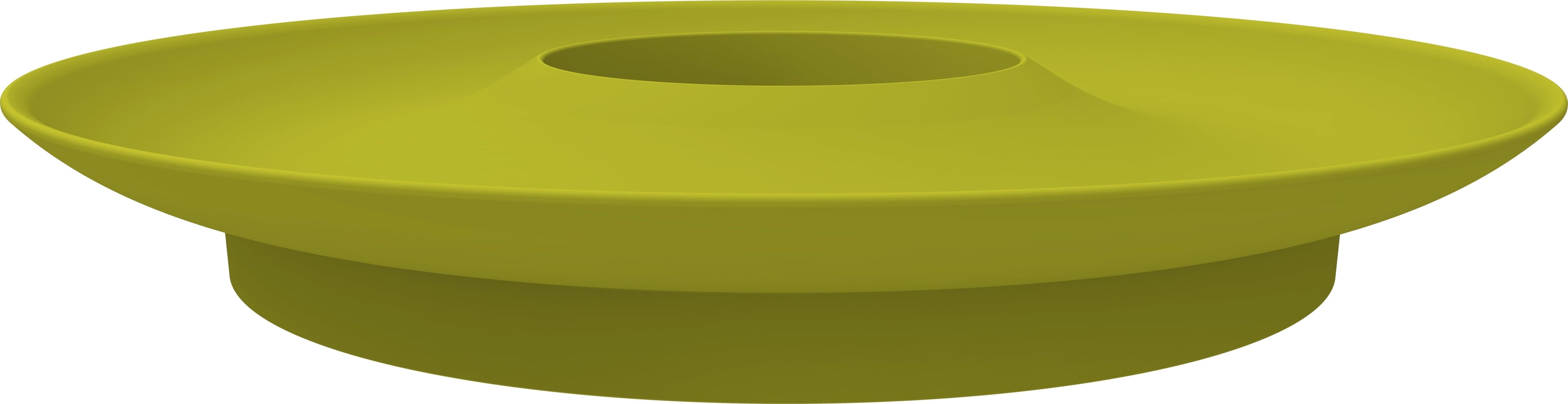  Avocado Kit Für Die Anzucht