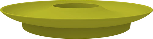  Avocado Kit Für Die Anzucht