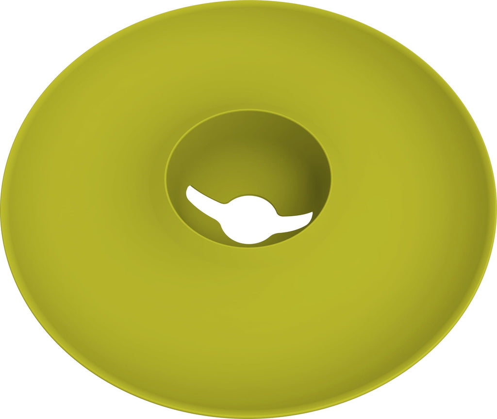  Avocado Kit Für Die Anzucht