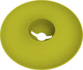 Avocado Kit Für Die Anzucht