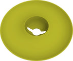  Avocado Kit Für Die Anzucht