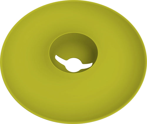  Avocado Kit Für Die Anzucht