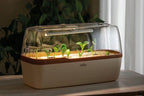  Gewächshaus & Pflanzkasten BoQube L PLUS LED - Creme-Kupferbraun