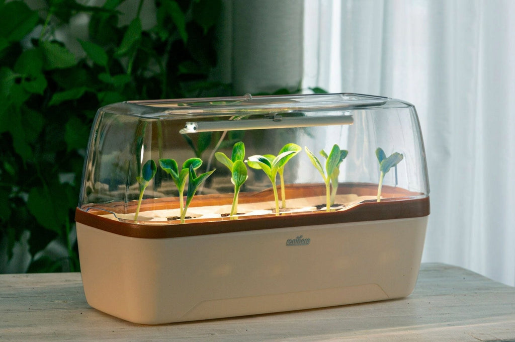  Gewächshaus & Pflanzkasten BoQube L PLUS LED - Creme-Kupferbraun