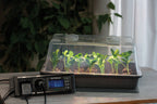  Climatic M Gewächshaus Set LED