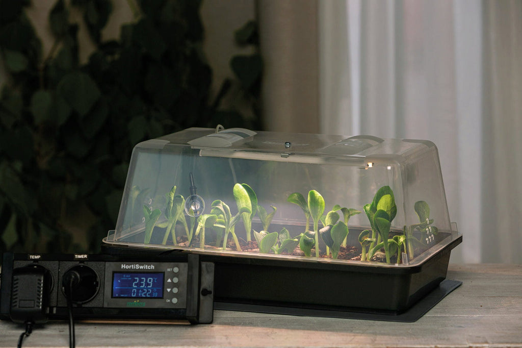  Climatic M Gewächshaus Set LED