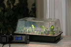  Climatic M Gewächshaus Set LED