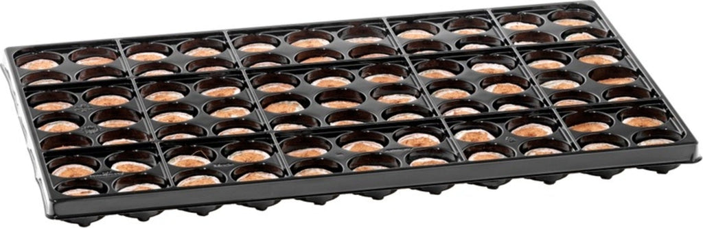  Coco Plug Tray Mit 77 Kokos-Quelltabletten