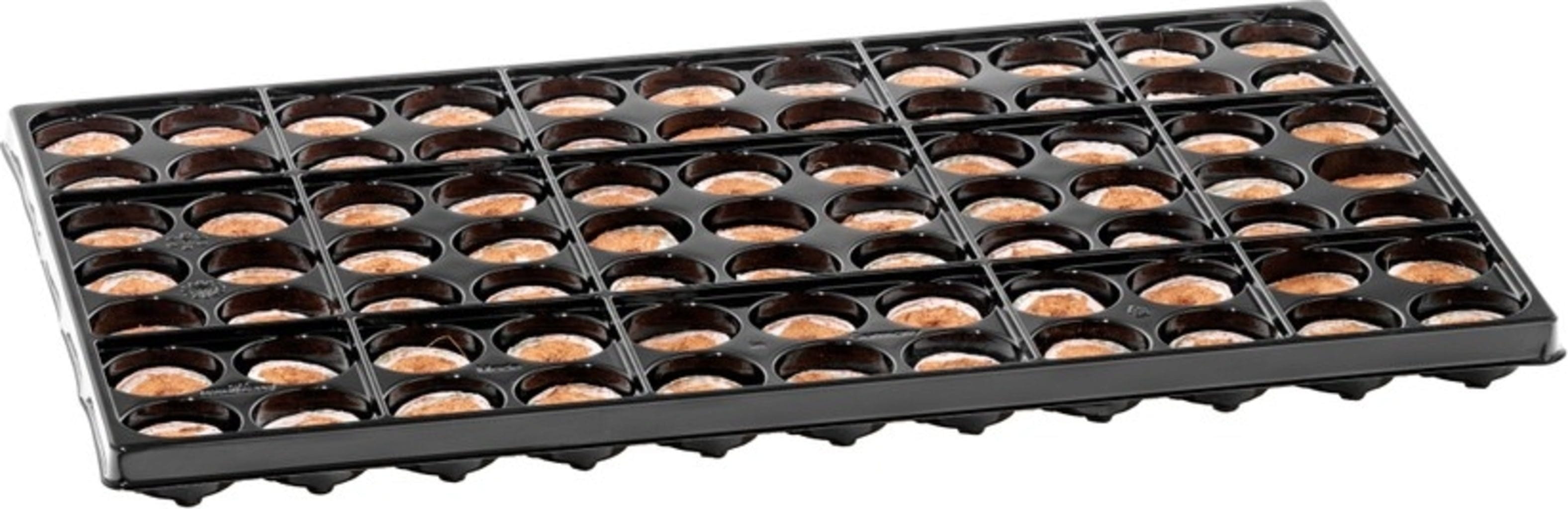  Coco Plug Tray Mit 77 Kokos-Quelltabletten