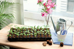  Coco Plug Tray Mit 77 Kokos-Quelltabletten