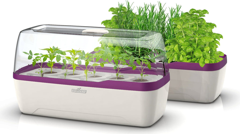  Gewächshaus & Pflanzkasten L - BoQube In Weiß-Pflaume