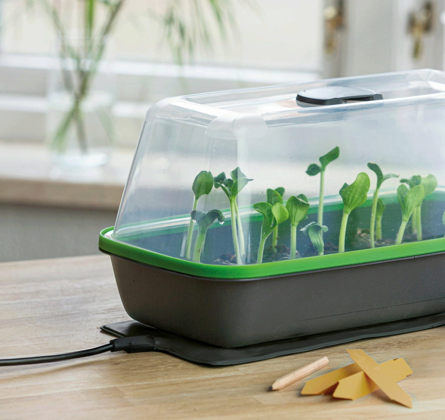  Gewächshaus & Pflanzkasten BoQube M PLUS LED & Heizmatte - Anthrazit-Sommergrün