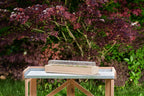  Holz-Anzuchthaus, L