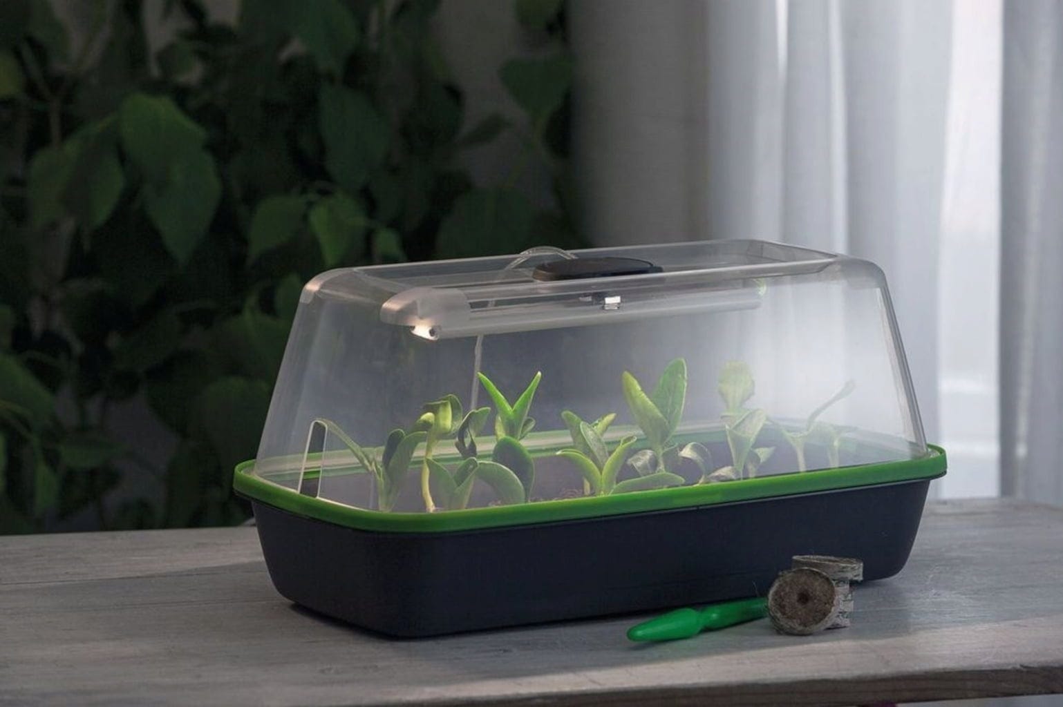  LED Pflanzenbeleuchtung