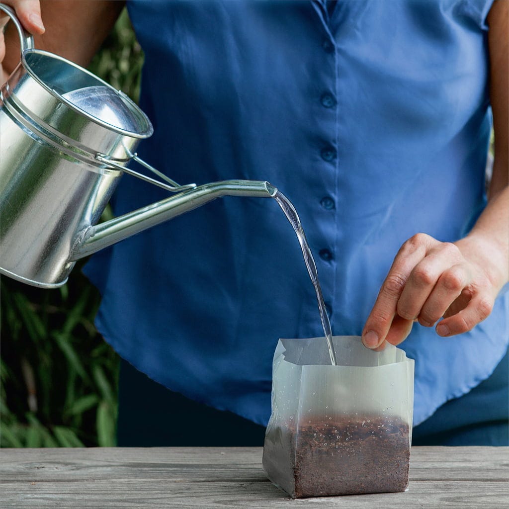  POP UP BOX Anzucht-Erde - 5 X 1 Liter